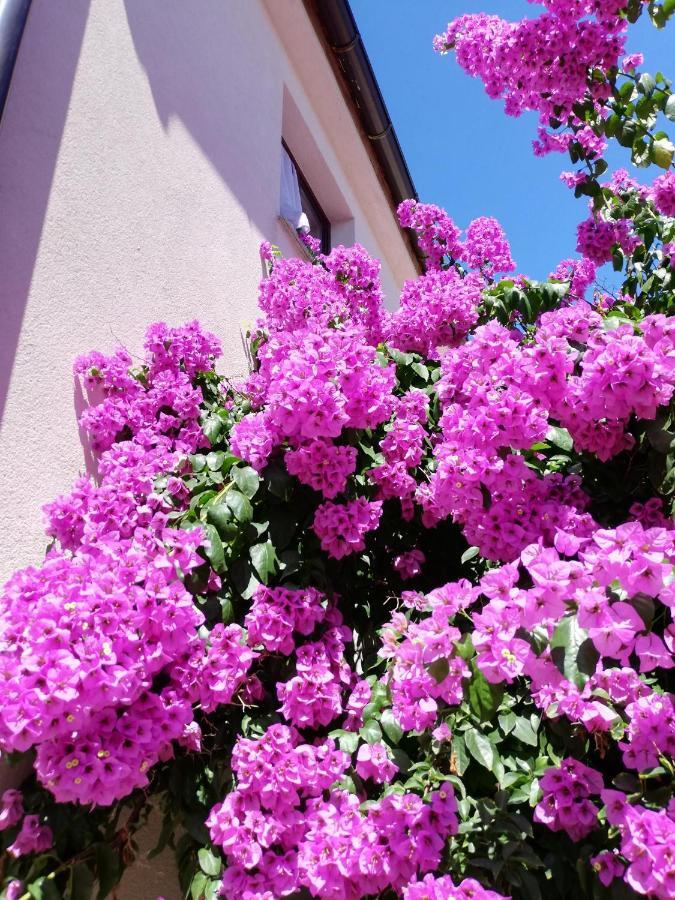 Apartment House Vir-To-All Εξωτερικό φωτογραφία